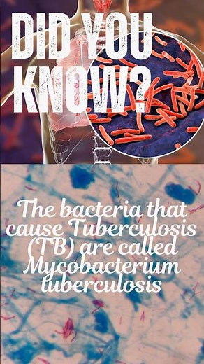 Mycobacterium tuberculosis#TB