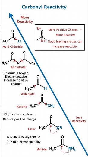 Carbonyl Reactivity Order 😱 | Amide Ester Acid Aldehyde Ketone vs Anhydride | NEET JEE Chemistry