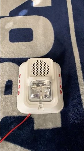 [#2] System Sensor P2WL-LF Low Frequency Horn Strobe Test #firealarm #systemsensor #lseries #shorts