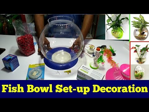 fish bowl decoration ideas at home || fish bowl setup || New Milan Aquarium || Home Decor