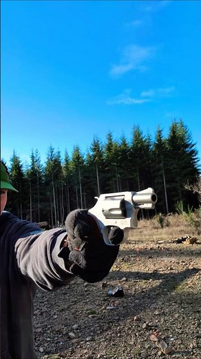 smith and Wesson 637 airweight