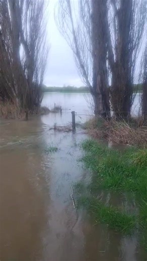 Happy Sunday everyone! Hopefully your day’s off to a better start than this bloke… 🤣 | Federated Farmers