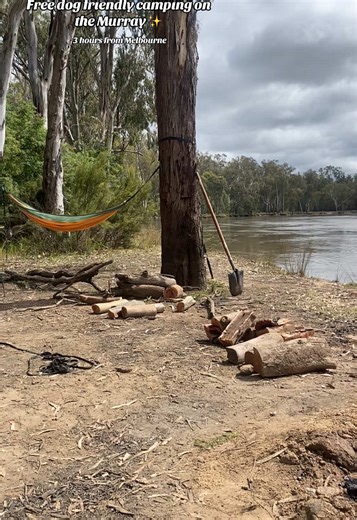 Free Dog Friendly Camping Near Melbourne's Murray River