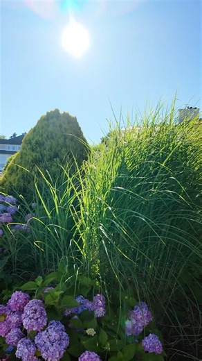 70 reactions | Plan your Shoreline Escape Today! #watersedgeresortandspa | Water's Edge Resort & Spa | Facebook