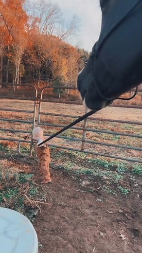 Autumn Fawn Brewer on TikTok