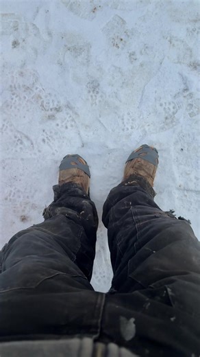 Magic Shoes Take You Anywhere: Discover Their Power