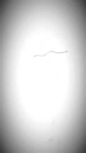 🇲🇽❤️🇵🇪 De México y de Perú… directo al corazón (y al paladar). En Federico y de Corazón celebramos los sabores que nos unen: desde unos tacos bien sabrosos 🌮 hasta un buen ceviche peruano 🐟. Cada plato cuenta una historia, cada bocado tiene alma. ¡Ven y vive esta fusión de pasión, sazón y tradición! 💥 #FedericoYDeCorazón #SaboresQueUnen #ComidaPeruana #ComidaMexicana #FusionPerfecta #saborconpasión | Federico