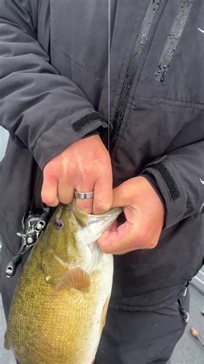 The casting jig I designed for Dirty Jigs Tackle was made for the Tennessee River and offshore largemouth, but it works in many other places! #Dirtyjigstackle #bassfishing | Luke Clausen