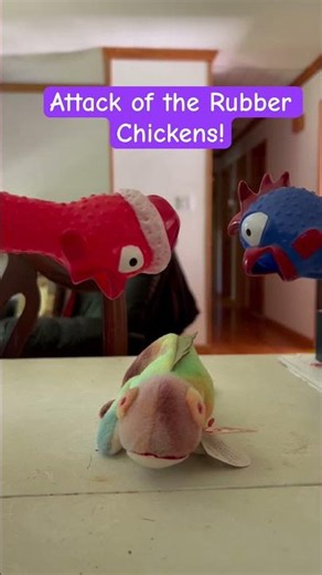 Attack of the Rubber Chickens!!! #rubberchickens
