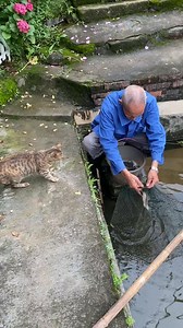 1.2M views · 10K reactions | "Can I have another, please!" Brought to you by Nutrition Strength: keeping your pets healthy and happy. | Dash Of Folly | Facebook