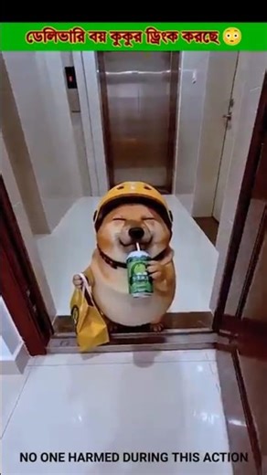 delhivery boy giving dog a drink 😳