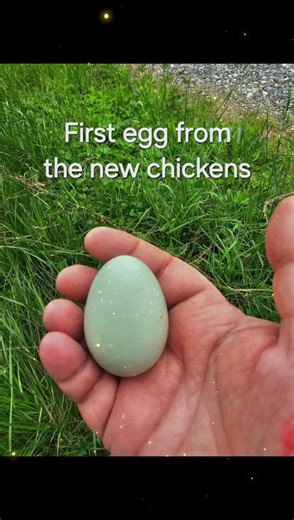 Pond House Homestead GA (@pond.house.homest)’s videos with as usual - Official Sound Studio