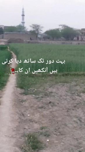 Shahid Ali on TikTok