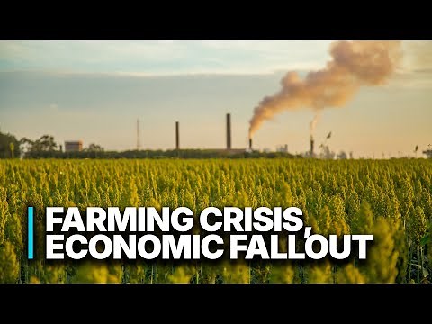 Farming Crisis, Economic Fallout | The Hidden Costs of Industrial Farming in America