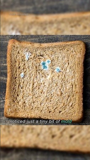 Why You Shouldn’t Eat the Clean Part of Moldy Bread!