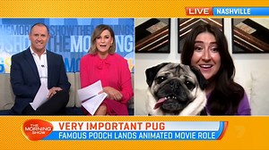 1K views · 22 reactions | Social media sensation Doug The Pug has landed one of his first ever movie roles, voicing a character in Netflix film 'The Mitchells vs. The Machines'  | The Morning Show | Facebook