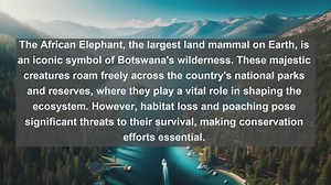 Top 10 native fauna in Botswana