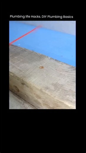 𝗗𝗮𝗶𝗹𝘆 𝗞𝗻𝗼𝘄𝗹𝗲𝗱𝗴𝗲 & 𝗙𝗮𝗰𝘁𝘀 on Instagram: "Ignoring pipe vibration is a direct path to leaks, noise, and long-term damage—this is essential plumbing integrity. This clever DIY hack uses simple, custom-cut wood blocks to create rigid supports. Each block is precisely shaped to clamp the pipe firmly against the structural framing. The result? Instant stabilization. It stops pipe movement, eliminates the irritating water hammer noise, and prevents the joint stress that eventually lea