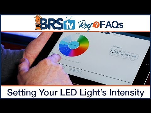 PAR & Reef Tank Lighting Schedules: What's the ideal program for LED aquarium lighting? | Reef FAQs