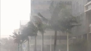 Typhoon Tami