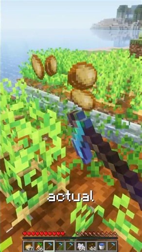 WHAT IF HOES HAD ACTUAL ENCHANTMENTS IN #MINECRAFT