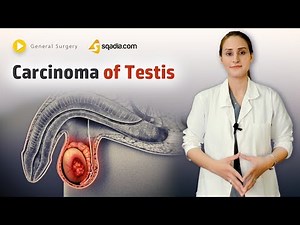 Carcinoma of Testis | Surgery | Video Tutorial | Online Classes Lecture | V-Learning