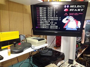 Running a PAL system in the US?