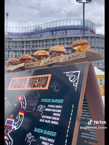 Asistenční čivava na TikTok