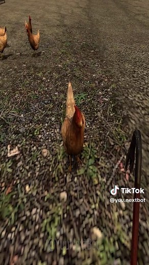 Funny Chicken Nextbot Moments in Garry's Mod