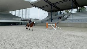 126K views · 6.5K reactions | On Cue jumped unreal today at the training camp in Aachen. Peter Wylde set up a course with a couple of gymnastic exercises. She is definitely loving Germany. | Boyd Martin | Facebook