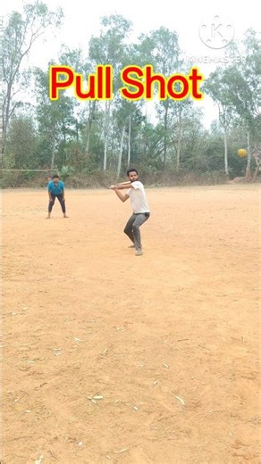 Pull shot || #cricket #rohitsharma #viral #shorts