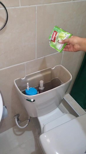 15M views · 174K reactions | Coloca Gelatina en Tu Inodoro, Los Plomeros No Quieren Que sepas Esto. #reels #limpieza #cleaning #reelsfb #LIMPIA | Salud y mas | Facebook