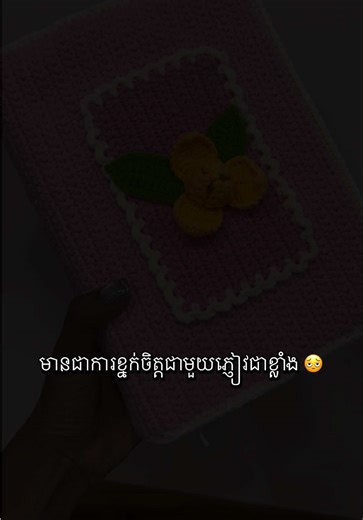 និយាយលេងសើចអី ពួកគាត់និយាយហើយធ្វើមែន 🤦🏽‍♀️ #crochet #crochetersoftiktok #bookcase #books #bookworm