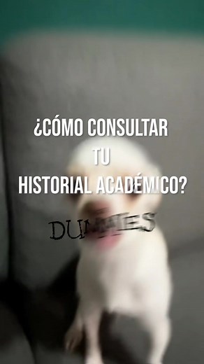 Consultar Historial Académico: Paso a Paso