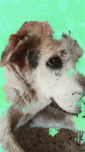 3 มีนาคม ค.ศ. 2026