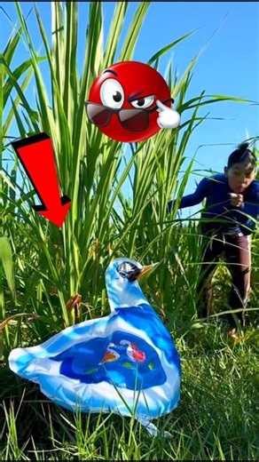 Survival Skills: SMART idea and USEFUL#bushcraft#camping#outdoors#survival