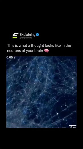 Explaining on Instagram: "When you form a thought, billions of neurons in your brain fire in complex patterns — creating a living web of electrical and chemical activity. ⚡🧠 Each neuron sends tiny electrical impulses down its axon, releasing neurotransmitters that jump the gap (synapse) to neighboring neurons. These signals strengthen or weaken connections depending on how often they’re used — the process behind learning, memory, and creativity. 💭 In that instant, chemistry becomes consciousne