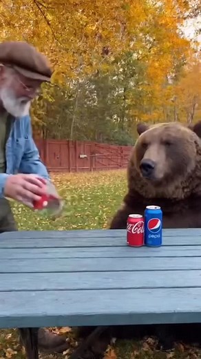4K reactions · 300 shares | Coke vs Pepsi Taste Test . . . . . . . . . . #grandma #grandpa #bear #mommabear | Buddy Sparkle | Facebook