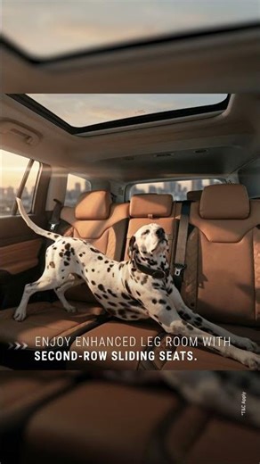 Jeep® Meridian Track Edition | Comfortably Ahead