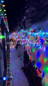 Georgetown Loop Railroad on Instagram: "VISIT SANTA AS YOU RIDE THE RAILS THROUGH A STUNNING LIGHTED FOREST 🎄 Night time departures feature Santa’s Lighted Forest through December 24th. The station and forest alongside the tracks are decorated with more than 300,000 holiday lights to enjoy from the train. 🚂 🎟️ Many departures are sold out, but some reservations remain at georgetownlooprr.com"