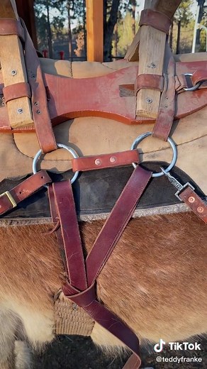 #packing #outfitting #backcountry #backcountryhorseman #sawbuck #horsepacking