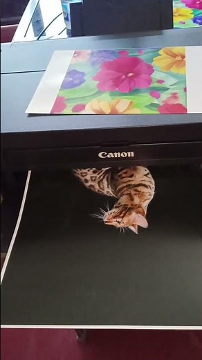 CANON PIXMA A3 PHOTO PRINTER QUALITY