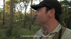 51K views · 563 reactions | Palm cockatoo | Birds Universe | Facebook