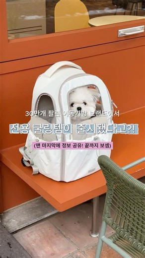 벌써 5차 재입고 화제의 백팩, 지금 사면 아이스 쿨 파우치 선착순 증정!