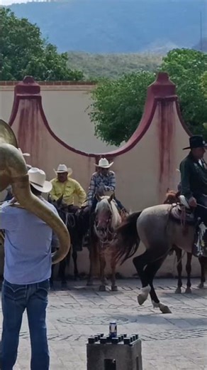 baile de caballos en la plaza central de Jalpan de serra