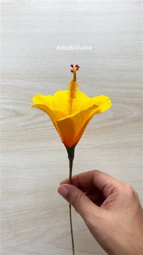 Craft Noot on Instagram: "Every piece I make holds a little part of my heart 💫 Handmade with love, crafted with patience, and created to inspire 💕#ClayArt #PaperCraft #HandmadeWithLove #DIYCraft #CreativeHands MiniatureArt ArtisanMade CraftAddict HandcraftedDecor SmallBusinessLoveMadeInUSA USACrafts AmericanMakers SupportSmallBusinessUSA EtsyFinds HandmadeUSA USAGiftIdeas ArtLoversUSA ShopSmallUSA"