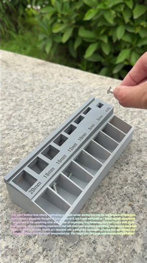 I LOST MY MIND! 🤯 This Screw Sorting Box Is PURE ADDICTION!
