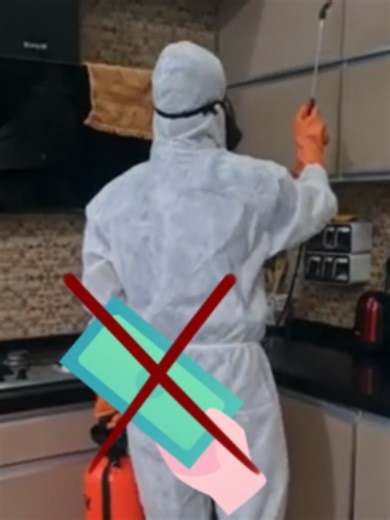 Terminator: Termite & Pest Control Offer
