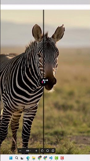 How to optimize images for the web without losing quality (fast and effective)