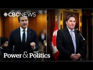 'If I were Mr. Poilievre I'd be deeply concerned': Interim NDP leader | Power & Politics